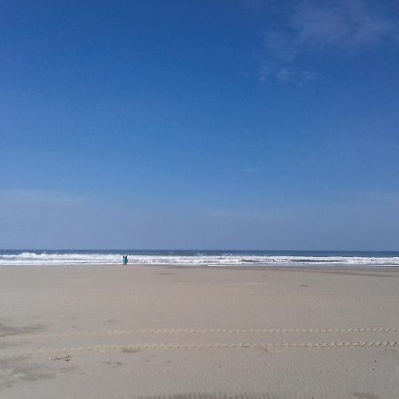 Beau Studio Vue Mer Canet Sud Eksteriør billede