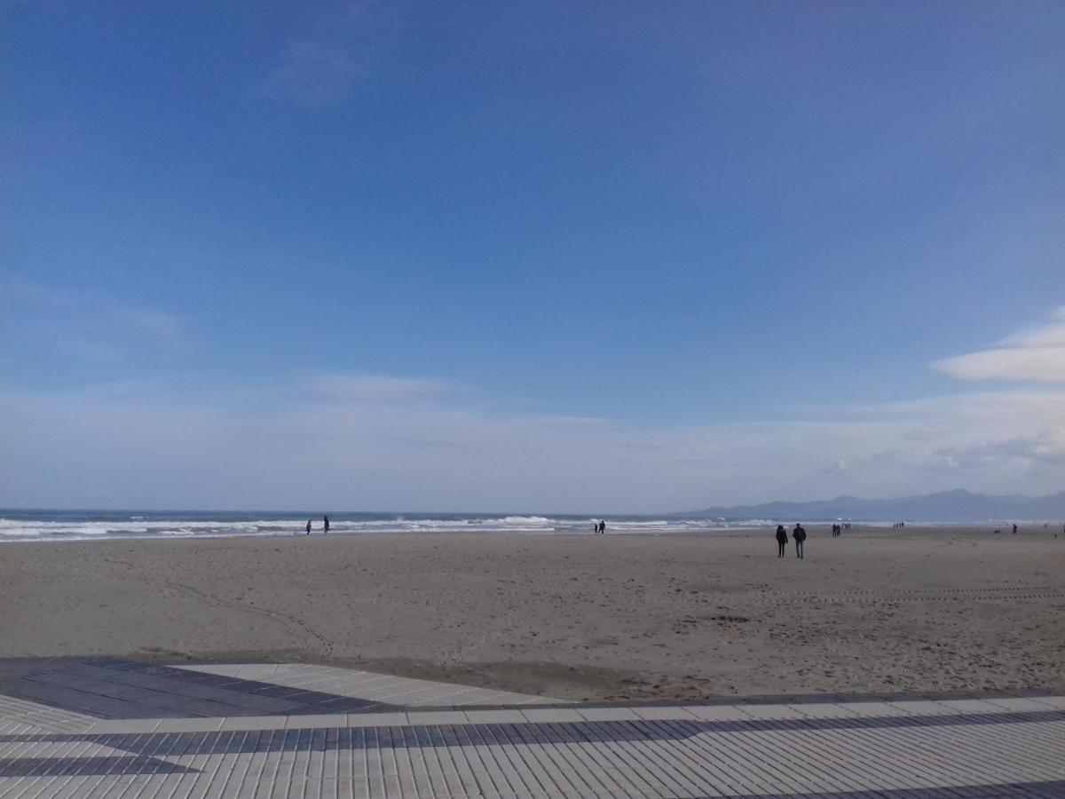 Beau Studio Vue Mer Canet Sud Eksteriør billede